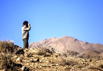 آغاز سرشماری پاییزه حیات وحش در استان تهران