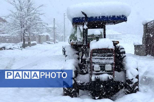 قابِ سفیدِ زمستان فـیـروزکــوه