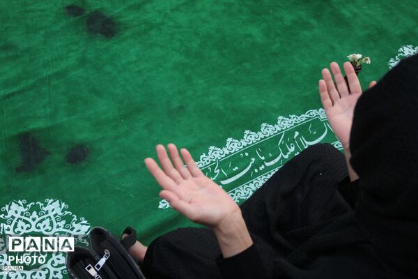 زنجان در سوگ دردانه کربلا؛ آیین عزاداری حضرت رقیه (س)