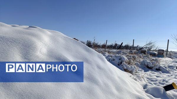 منظره زیبای برف پاییزی در باغات شهرستان نیشابور 