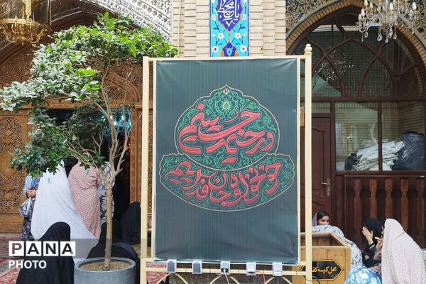  مراسم عزای امام رضا (ع)در امام زاده صالح (ع)تهران