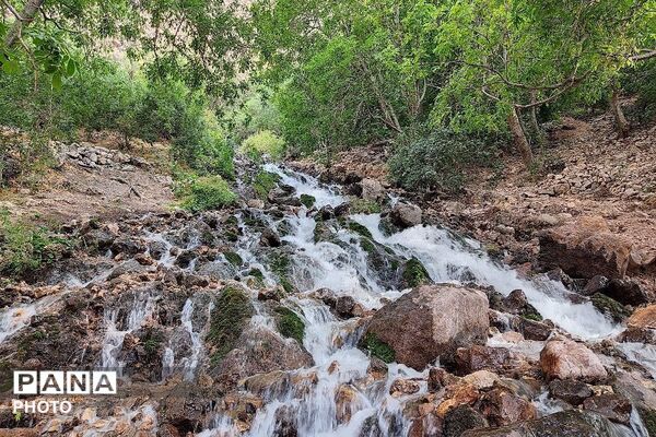 آبشار بار، نغمه‌ای از آب در دل طبیعت