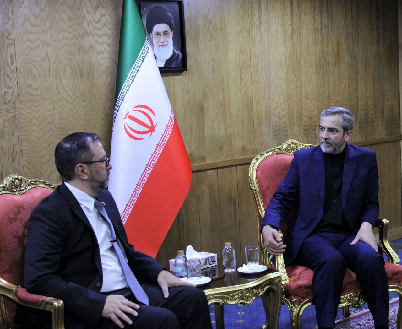 دولت و ملت ونزوئلا شریک غم و اندوه شما در این شرایط سخت هستند