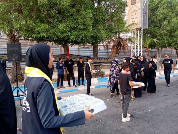 جاماندگان اربعین سفر به کربلا با دل و جان 