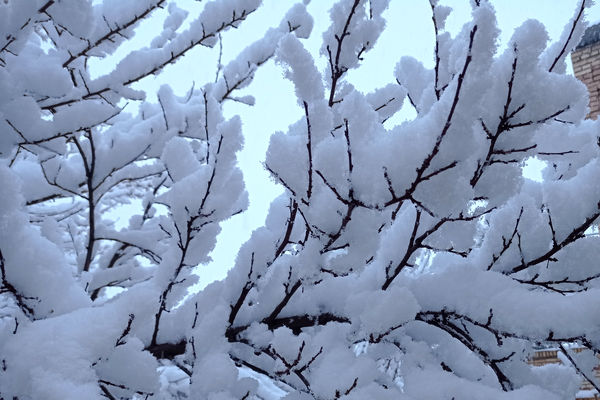 بنادکوک‌ دیزه دوباره سفید‌پوش شد