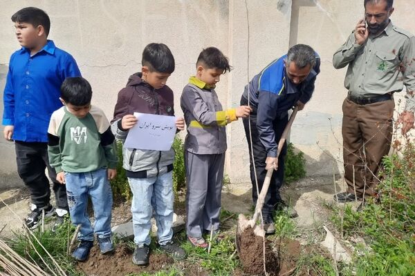 اجرای پویش سرو ایران در مدارس گلوگاه