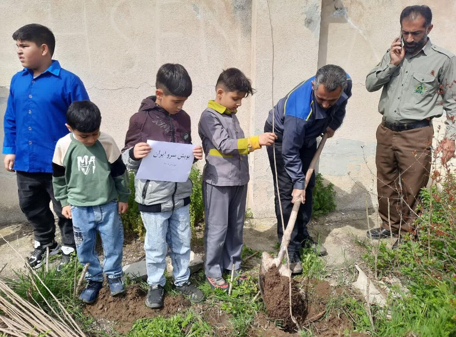 اجرای پویش سرو ایران در مدارس گلوگاه