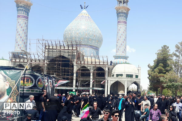 گام‌های عاشقی جاماندگان اربعین از صغاد تا حرم امامزادگان بهمن