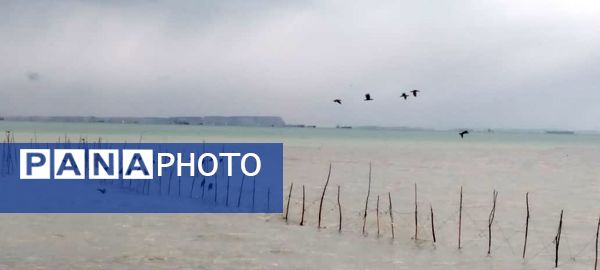 باران، چهره بندرعباس را تازه کرد