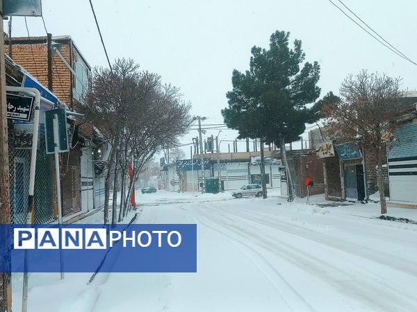 برف و بارانی همراه با شادی در شهرستان زاوه