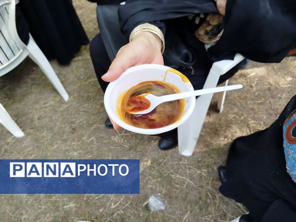 جشنواره توت سفید در هوراند