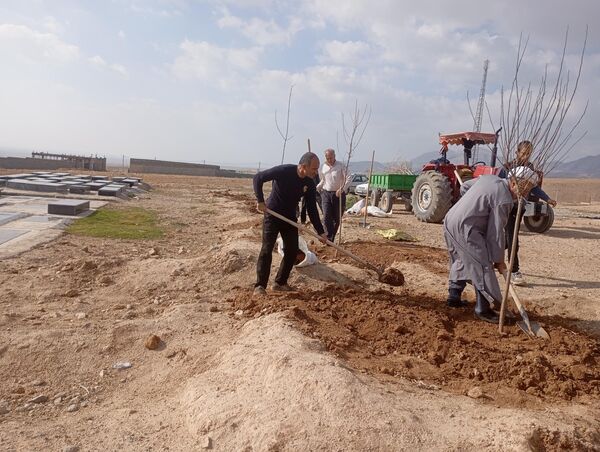 کاشت نهال در آرامستان روستای گزکوه