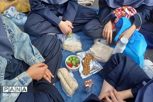 دبیرستان هدی؛ به‌سوی سفره‌ای سالم و زندگی شاداب‌تر
