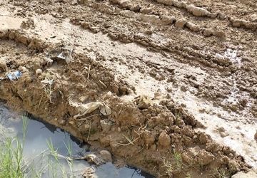 بارش باران گل‌ولای را به جان اسلام‌آباد شرقی انداخت؛ پروژه نیمه‌کاره آبفا دردسرساز شد