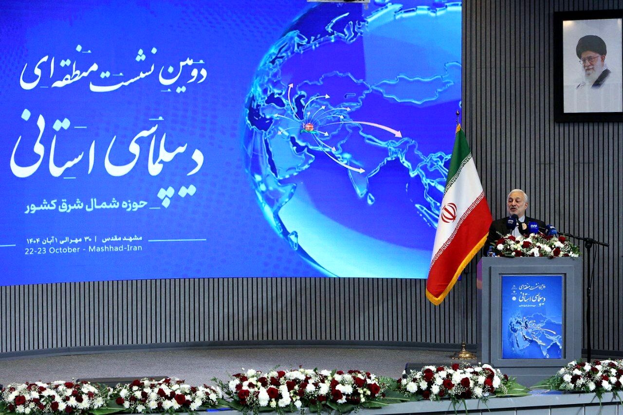دیپلماسی استانی، ابزار هوشمند برای پیشبرد سیاست همسایگی است