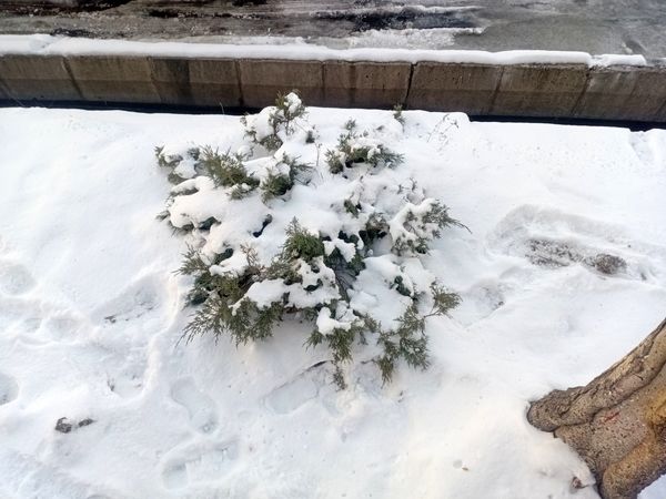 روزهای برفی تبریز از پشت پنجره