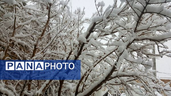 بارش سنگین برف در بن؛ رکورد تازه زمستان