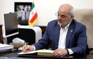 حاجی میرزایی: «المپیاد بین المللی ترکیبیات» عرصه‌ای برای دیپلماسی علمی است