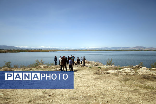 تور رسانه‌ای بازدید از تالاب‌های حوضه آبریز دریاچه ارومیه