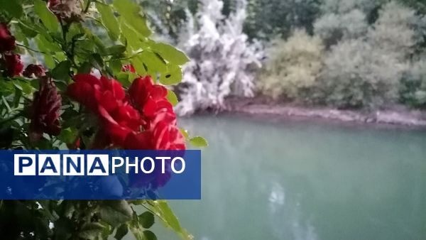 باغ بهادران؛ بهشت کوچکی در اصفهان