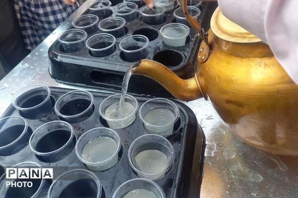 نبض شهر به عشق علی(ع) تپید