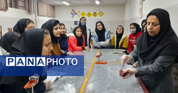 کارگاه تشریح قلب و آناتومی بدن انسان