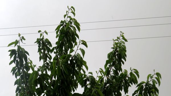 غافلگیری شهر بن از طرف آسمان