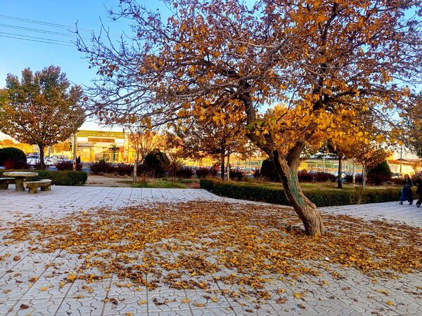 طبیعت زیبای کاشمر در پاییز