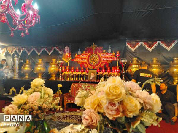 سفینةالنجاة در قابِ شب
