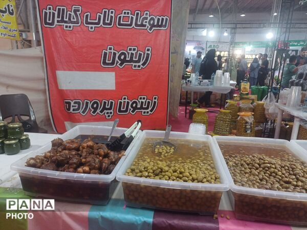 نمایشگاه گل و گیاه و سوغات در همدان