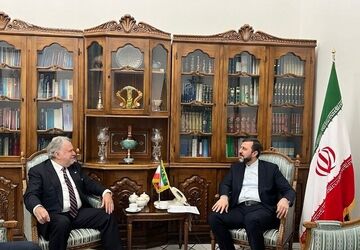رایزنی غریب‌آبادی با یک مقام سازمان ملل