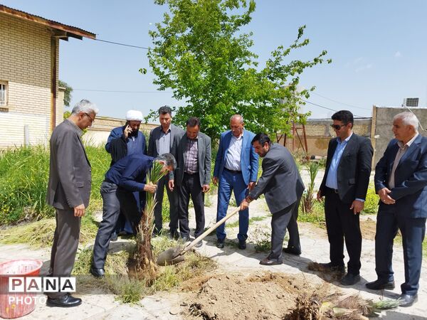 ۴ اصل نخل؛ نماد پاسداشت شهیدان و همدلی در منطقه شیب‌کوه 