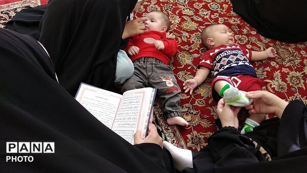 دعای پرفیض عرفه در حرم مطهر امام رضا (ع)