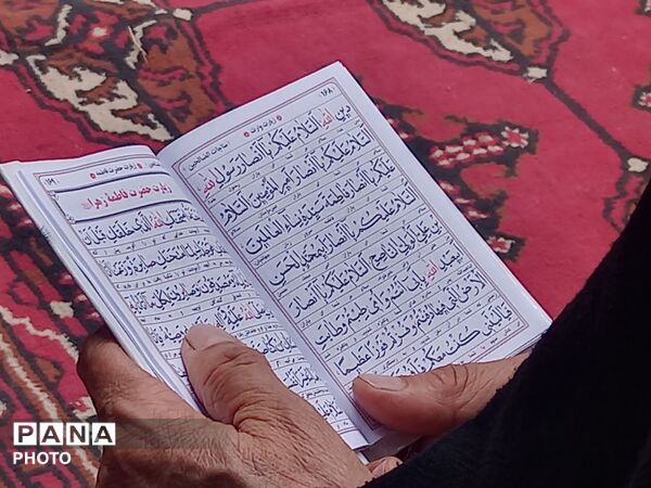 حضور دوستداران اهل بیت در رحلت پیامبر اکرم و شهادت امام حسن مجتبی