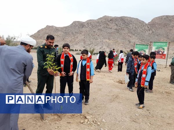 مراسم نمادین کاشت نهال در حاجی‌آباد 