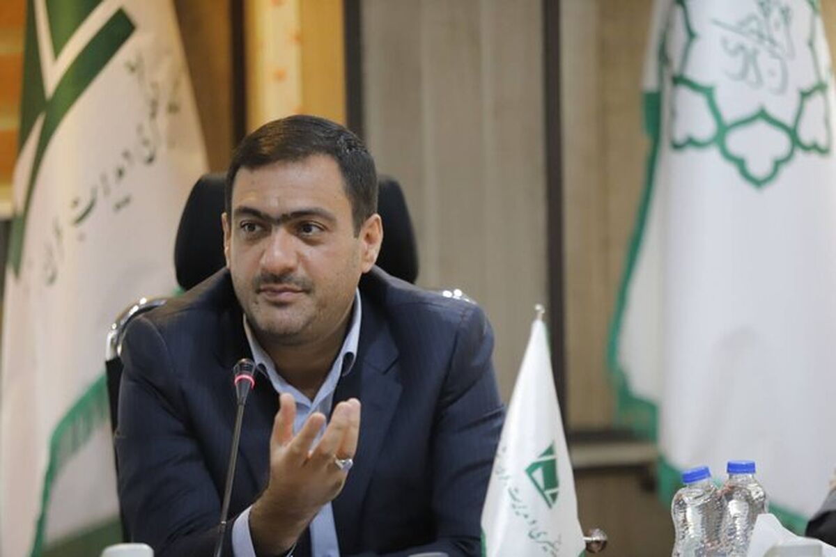 انتقاد شدید عضو شورای شهر از ترک فعل دستگاه‌ها در قانون هوای پاک