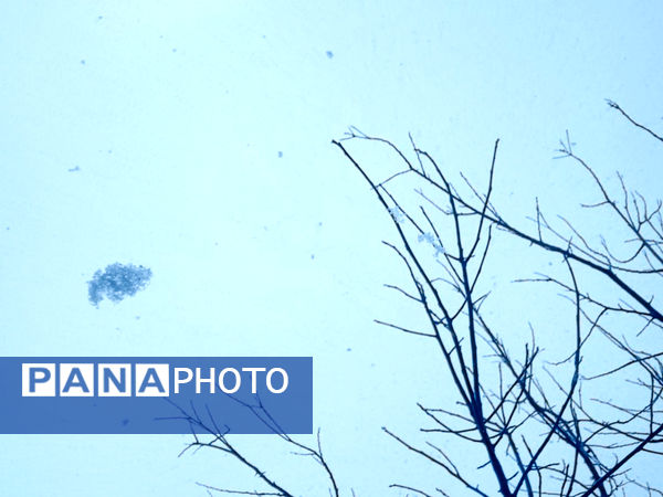 یک روز بارانی در لردگان 