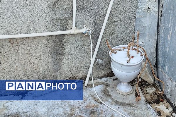 جلوه زمستانی طبیعت شهر بار نیشابور 