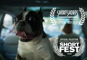 حضور فیلم کوتاه «گوسفند» در جشنواره‌های ژاپنی و‌ آمریکایی