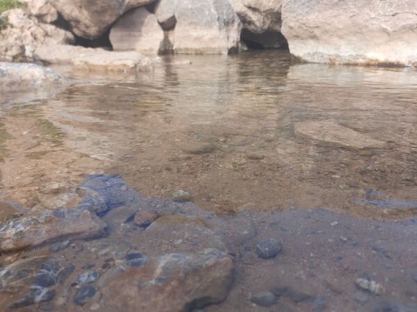 طبیعت شهر سودجان در بهار