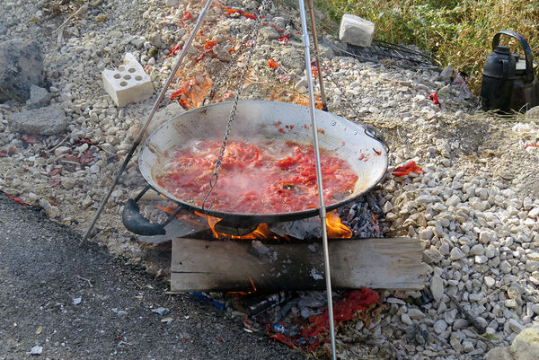 برگزاری جشنواره بومی محلی شهرستان بجنورد 