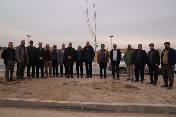 کاشت درخت به یاد شهدا در محمدشهر 