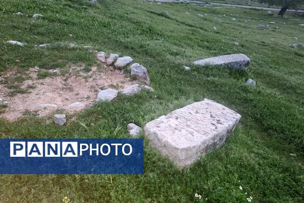 قبرستانی تاریخی و سرسبز به قدمت چند صد ساله در فارس