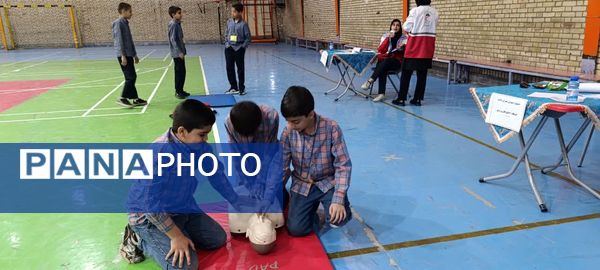 جشنواره مهارت علمی سفیران سلامت