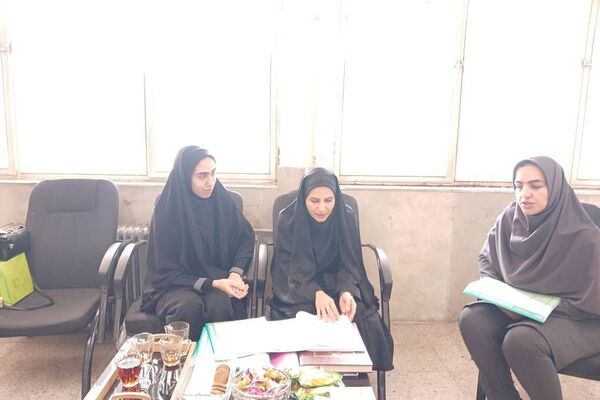  کارگاه آموزشی توانا در دبستان شهید دکتر چمران ناحیه دو شهرری 