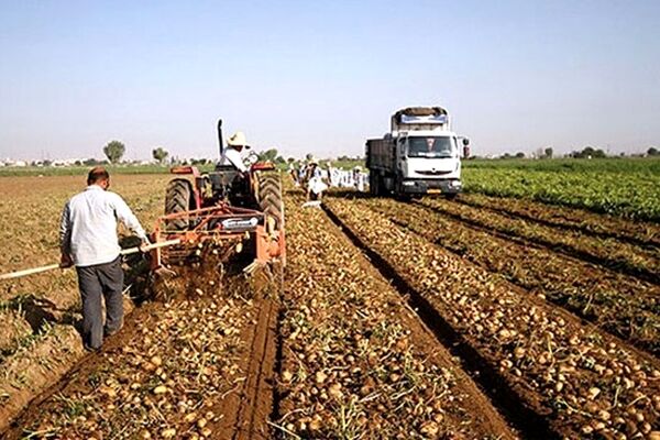 پایداری امنیت غذایی با وجود کم آبی و محدودیت انرژی