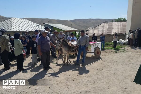 مراسم گلابگیری در روستای طارس شهرستان فیروزکوه