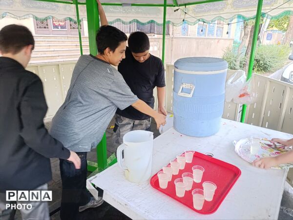 ایستگاه صلواتی دهه اول ماه صفر در مقابل فاطمیه تهران به همت نوجوانان آرمانی برپا شد