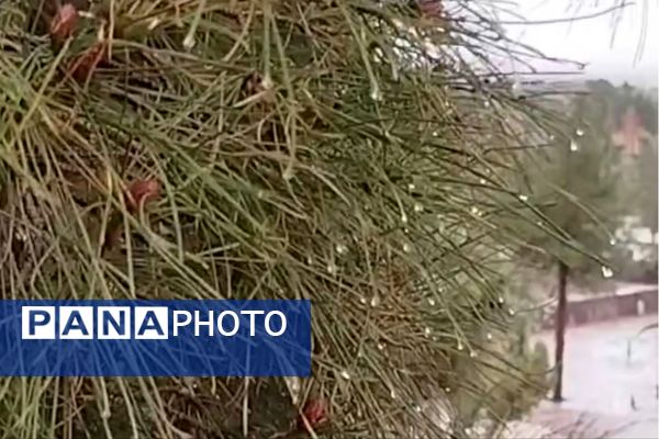 جلوه هایی از باران پاییزی در کاشمر