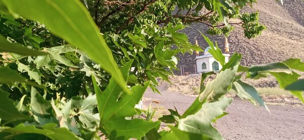 مزار گردشگری کلاته بایزید، گوهر پنهان طبیعت در دل کوهستان 